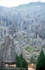 China (229 von 257).jpg